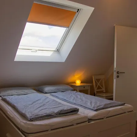 Inselblume 07 - Mit Hund An Der Reiterkoppel *