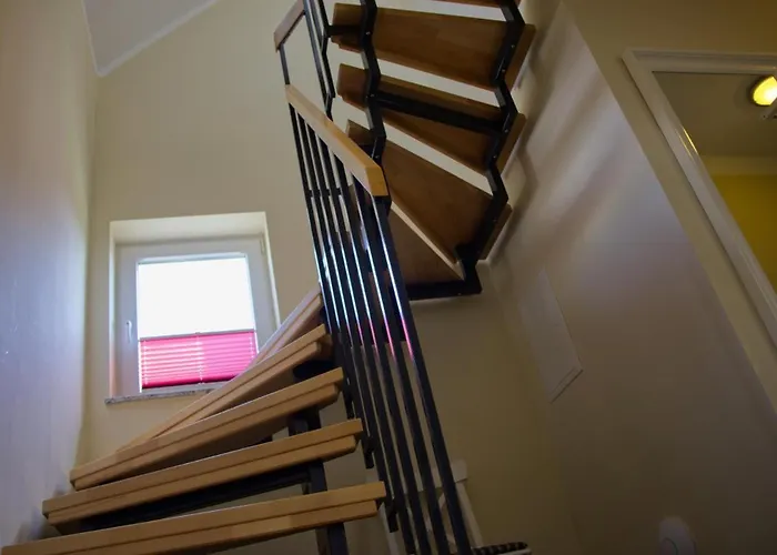 Inselblume 07 - Mit Hund An Der Reiterkoppel Neue Tiefe Fehmarn