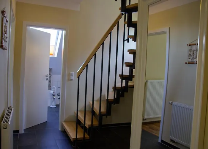 Inselblume 07 - Mit Hund An Der Reiterkoppel